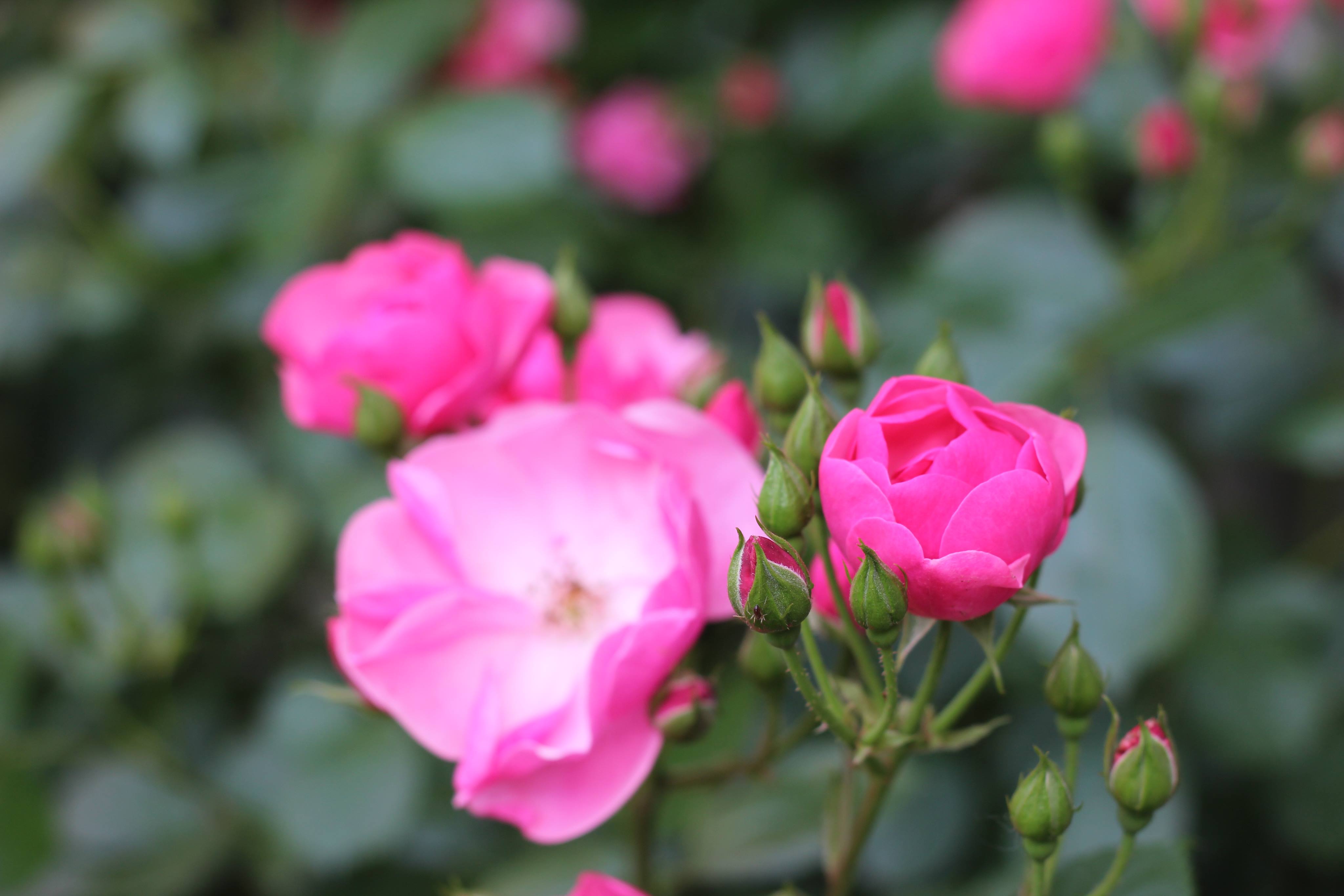 選んでくださったお客様への感謝